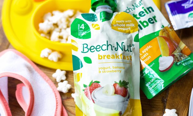 Beech-Nut Baby Food Pouches As Low As 67¢ At Publix