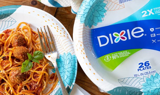 Dixie Paper Plates Or Bowls Just $1.03 Per Package At Publix