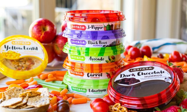 Make Room In Your Fridge – Lantana Hummus Is On Sale NOW At Publix