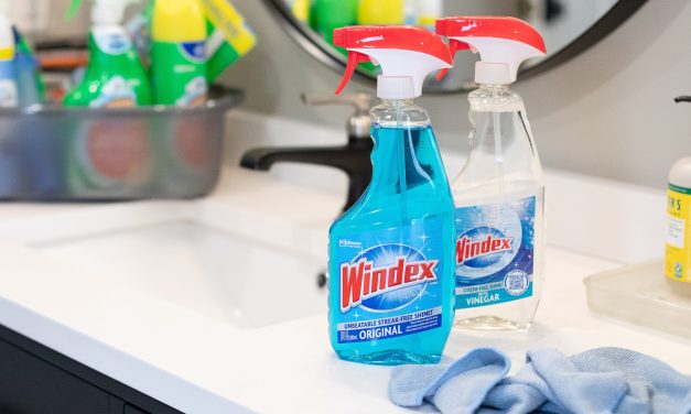 Don’t Just Get Clean – Get Fresh For Spring With Windex® Glass Cleaner