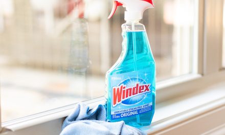 Lighten & Brighten Your Home With Windex® Glass Cleaner – Save Now At Publix