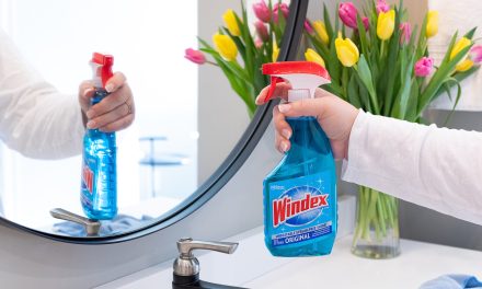 Spring Cleaning Made Easy With Windex® Glass Cleaner – Now On Sale At Publix