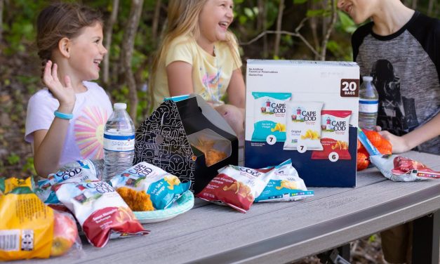 Snyder’s of Hanover and Cape Cod 20-Count Variety Packs On Sale Now At Publix – Stock Up And Keep Your Faves Within Reach
