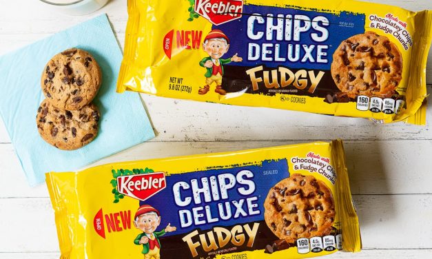 Get Fudgy! Enjoy Chocolatey Chips And Fudgy Chunks In A Yummy Cookie