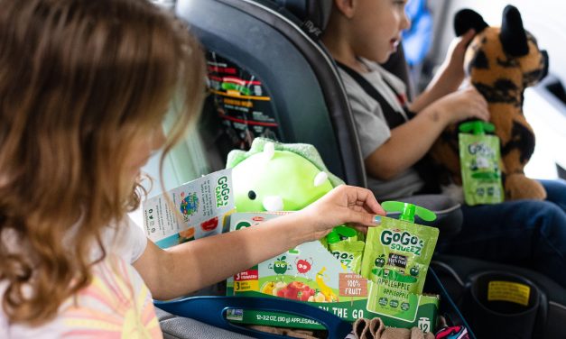 Stock Up On GoGo squeeZ® During The Publix BOGO Sale & Be Ready For Any On-The-Go Adventure!