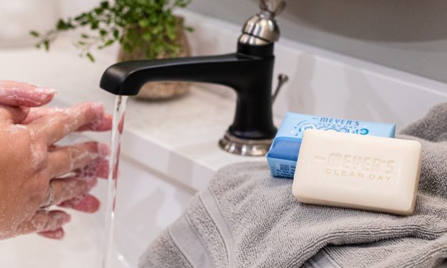 Bring Home Mrs. Meyer’s Clean Day® Bar Soap For A Truly Delightful Cleansing Experience