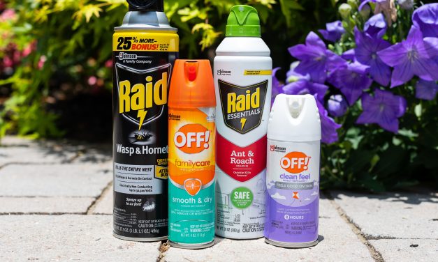  Don’t Let Bugs Ruin Your Day – Keep OFF!® & Raid® Products Handy All Season Long