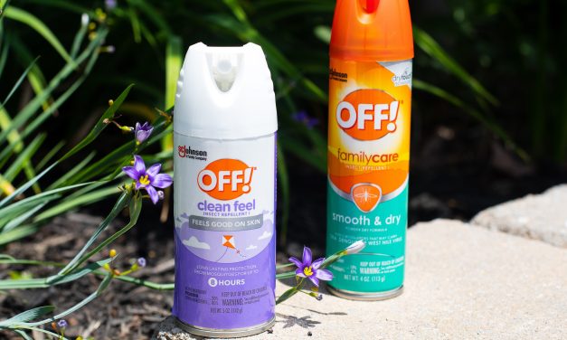 Make The Most Of The Summer With The Help Of OFF!® And Raid® Products