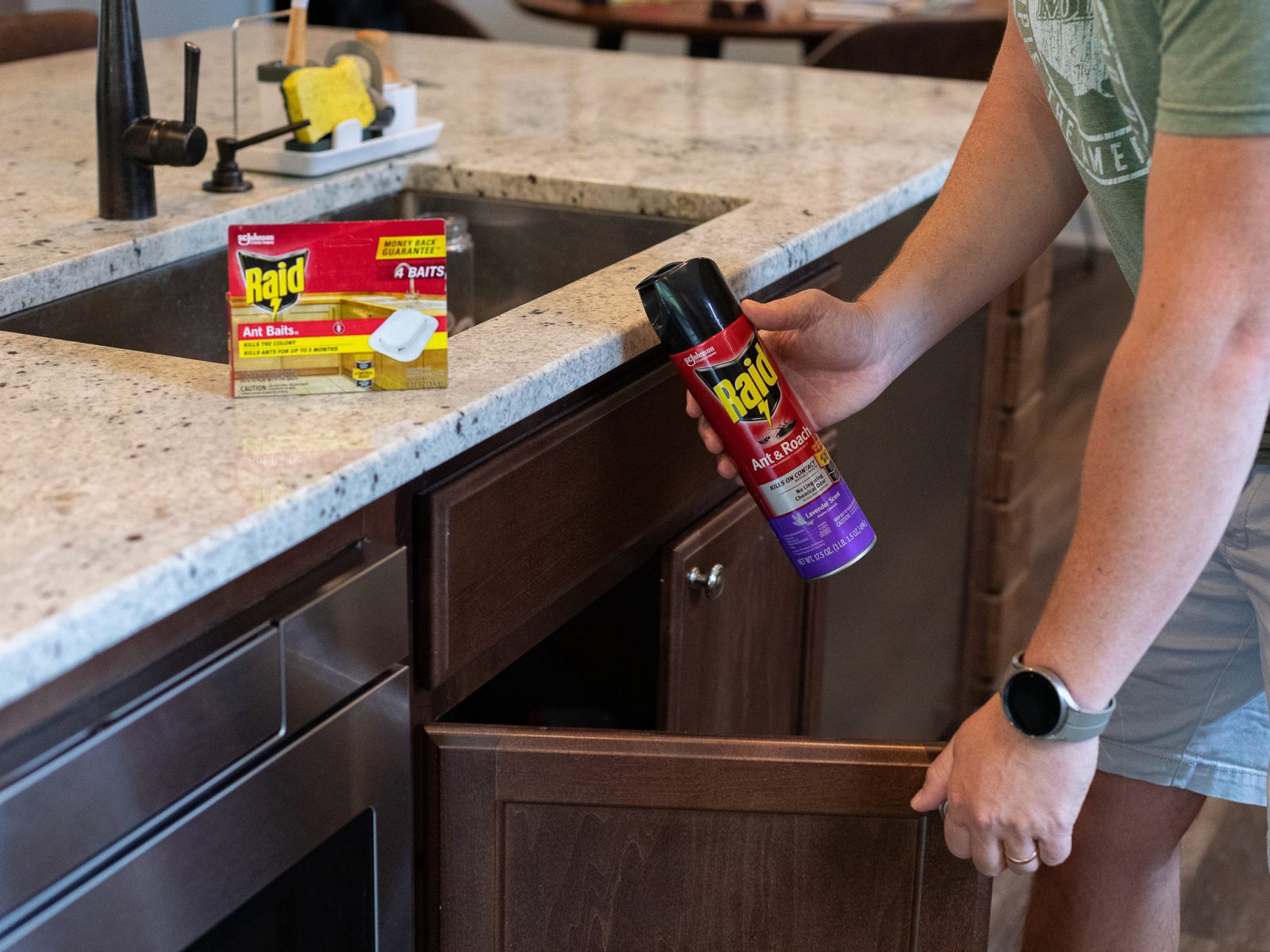 Tackle Unwanted Pests With Your Favorite Raid® Products – On Sale Now  At Publix