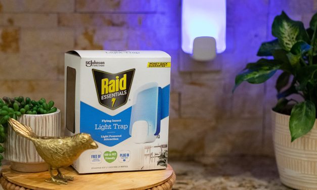 Raid Ibotta For The Publix Sale – Get A Raid Essentials Flying Insect Light Trap As Low As FREE