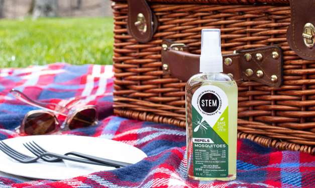 Enjoy All The Season Has To Offer With Help From STEM Products – Save Big At Publix