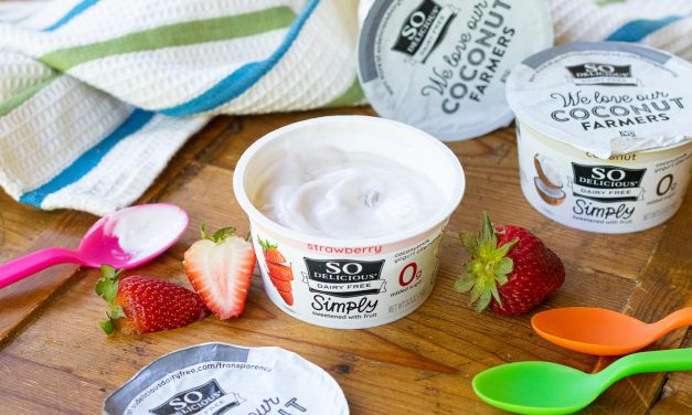 So Delicious Dairy Free 0g Added Sugar Yogurt Is FREE At Publix