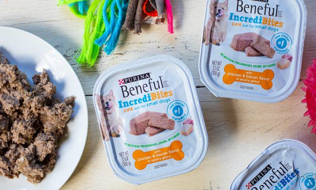 Get The Variety Packs Of Purina Beneful IncrediBites Wet Dog Food For Just $5.50 At Publix