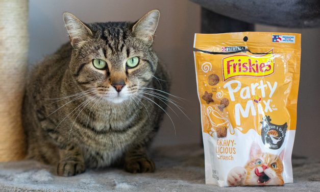 Get The Bags Of Friskies Cat Treats For Just $1.33 At Publix