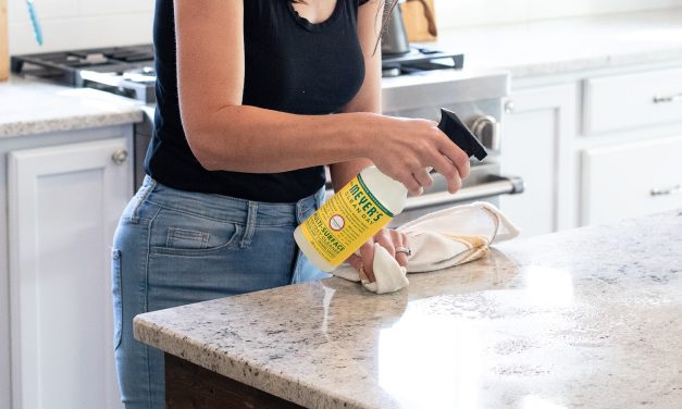 Don’t Miss Your Chance To Grab Savings On Mrs. Meyer’s Clean Day® Multi-Surface Cleaner – $1 Off At Publix