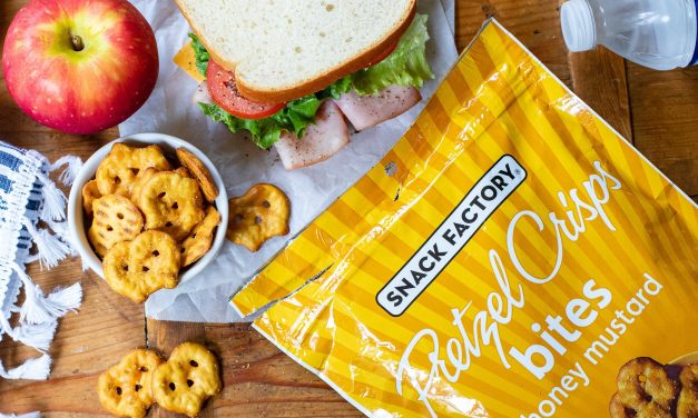 New At Publix: Try Snack Factory® Pretzel Crisps Bites & Save – Bite Sized. Big Flavor.