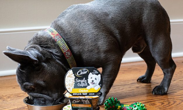 Get The Cesar Simply Crafted Dog Food Packs As Low As $2.50 At Publix