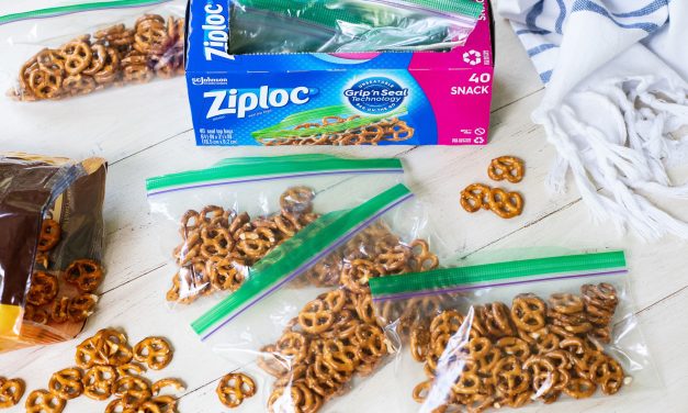 Look For Ziploc® Brand Bags On Sale NOW At Publix