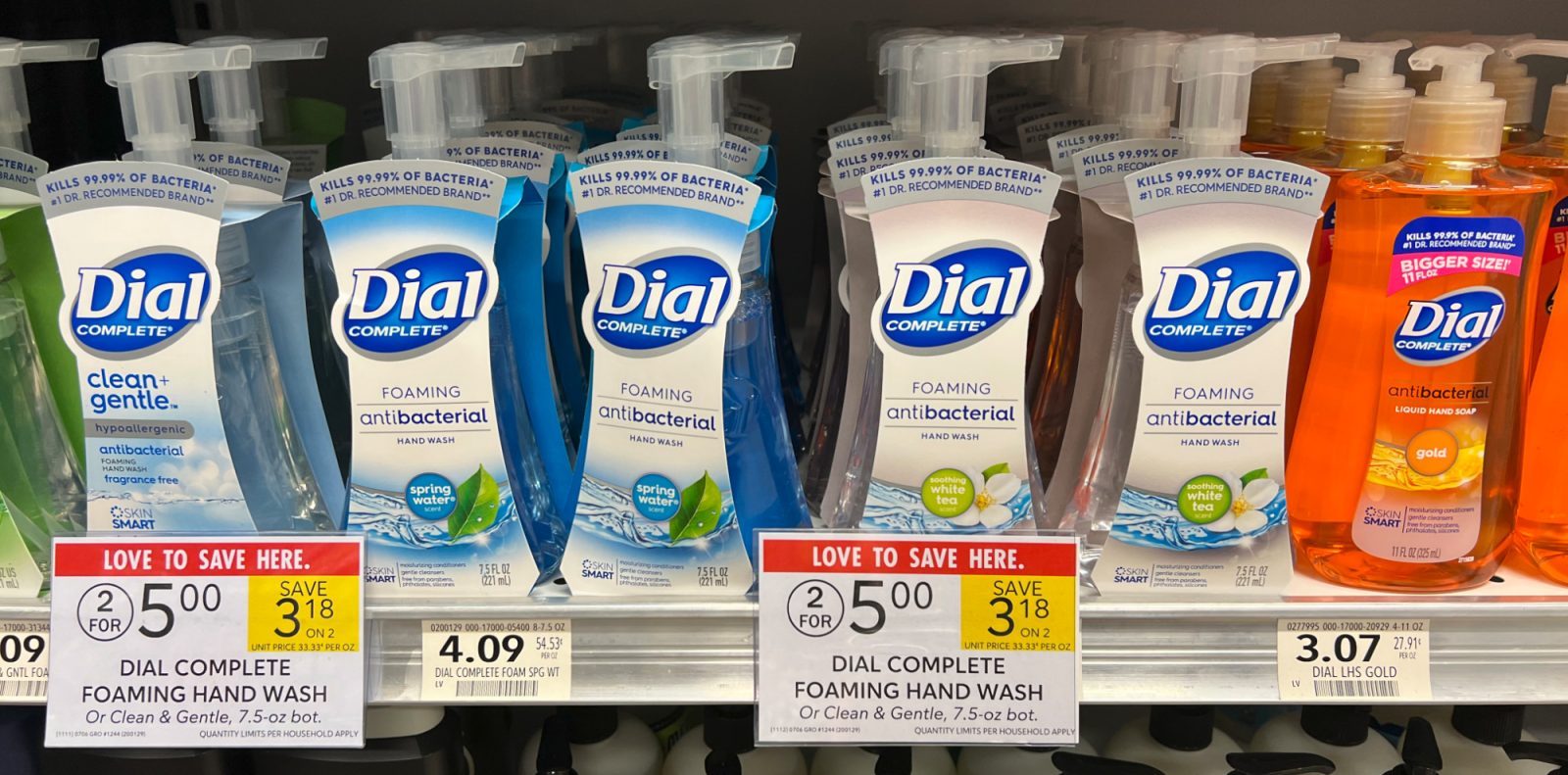 Dial Hand Soap Just $2 Per Bottle At Publix - iHeartPublix
