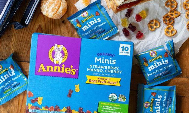 Annie’s Fruit Snacks As Low As $2.90 Per Box At Publix