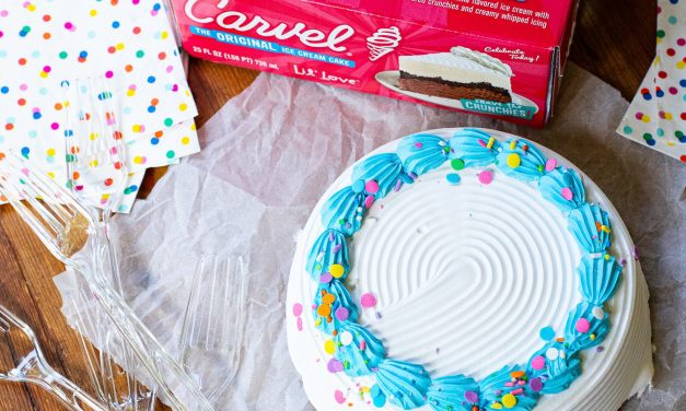 Carvel Lil’ Love Ice Cream Cake Just $10.99 At Publix – Save $6