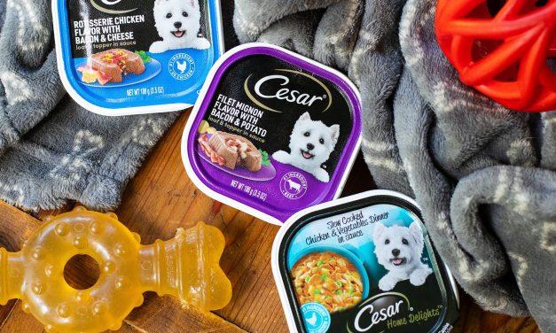 Get Cesar Dog Food Entrees As Low As 80¢ At Publix