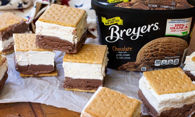 Serve Up Delicious Frozen S’mores Treats At Your Labor Day Gathering – Breyers Is BOGO At Publix