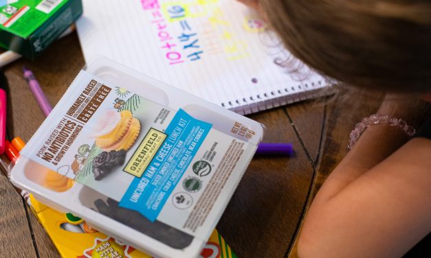 Make Lunchtime Easy & Delicious With Greenfield Natural Meat Co.™ Lunch Kits – On Sale Now At Publix