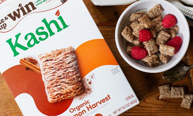 Kashi Cereal As Low As $3 At Publix (Regular Price $6.99)
