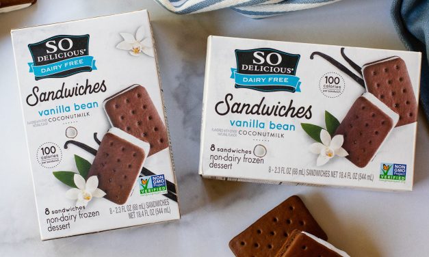 Get So Delicious Dairy Free Frozen Novelty Desserts As Low As FREE At Publix