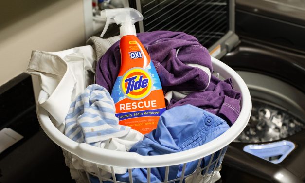 Tide Rescue Laundry Stain Remover Spray As Low As $2.99 At Publix (Regular Price $4.99)