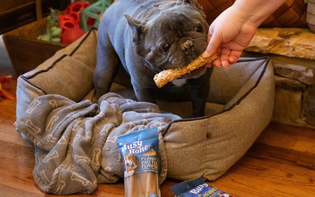 Get Purina Busy Dog Bones As Low As $4.50 At Publix (Regular Price $10.99)