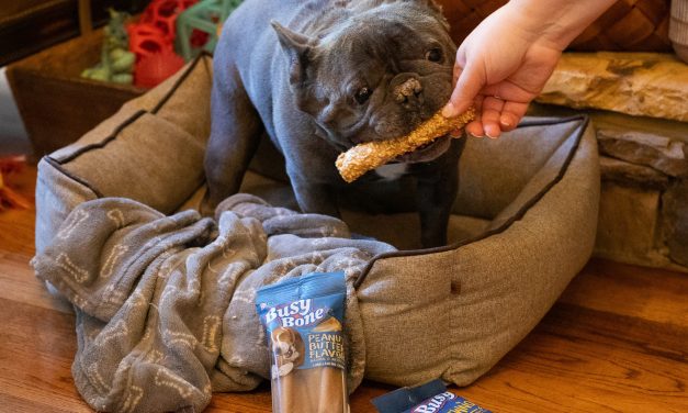 Get Purina Busy Dog Bones As Low As $4 At Publix (Regular Price $11.99)