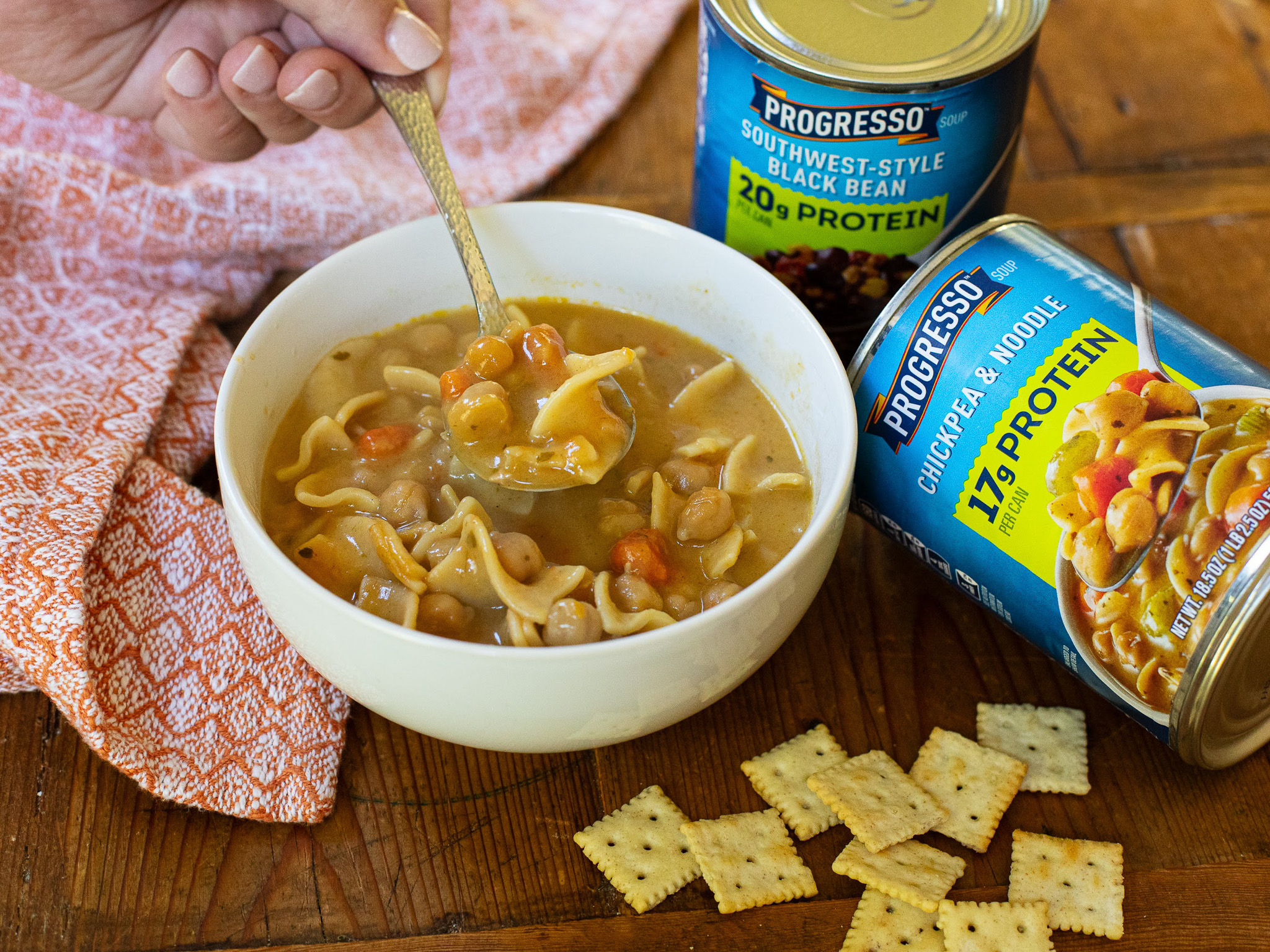 Progresso Protein Soup