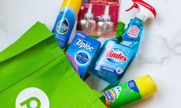 Stock Up On Great Products To Help You Get Ready For The Holiday – Save $5 At Publix
