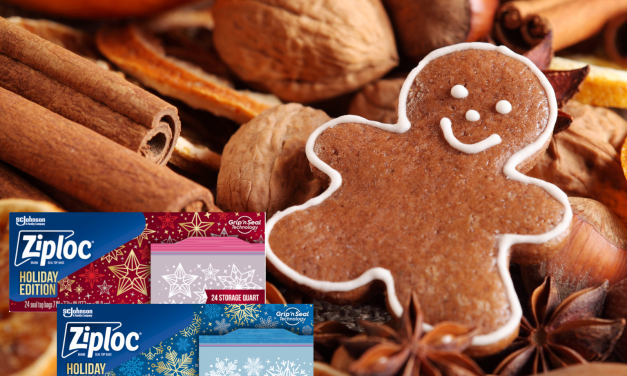 Stock Up On Ziploc® Brand Bags And Get Ready For The Holidays!