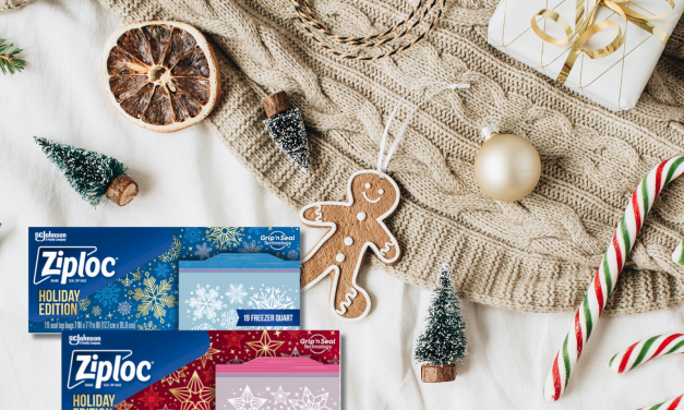 Spread Some Holiday Cheer With Ziploc® Brand Holiday Bags – BOGO Sale At Publix