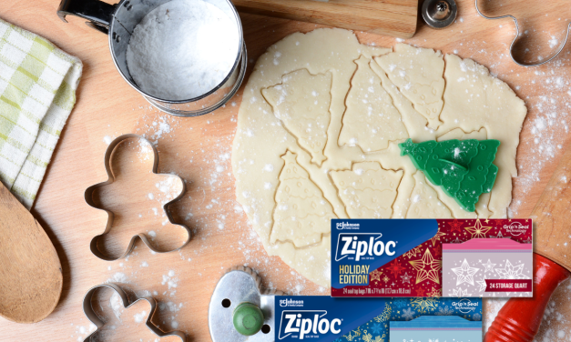 Celebrate The Season With Savings – Ziploc® Brand Bags Are BOGO Publix