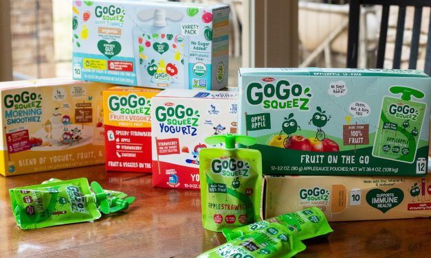 Keep Plenty Of Convenient GoGo squeeZ® Products Handy For The Busy Holiday Season