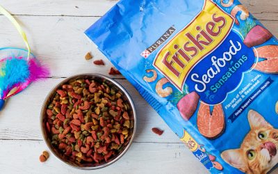 Get The Bags Of Purina Friskies Cat Food For Just $2 At Publix