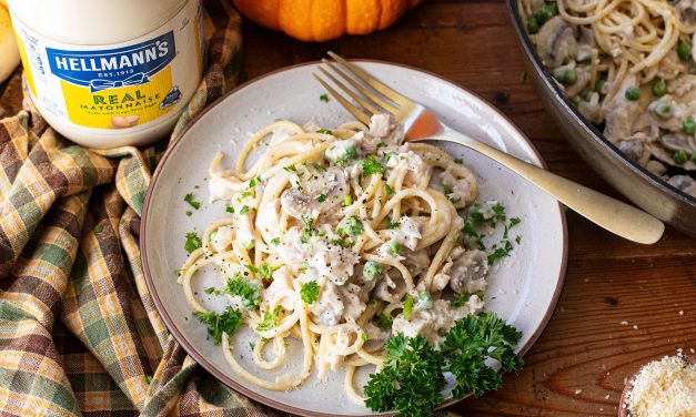 Grab Some Hellmann’s And Put Those Holiday Leftovers To Good Use
