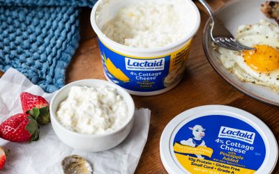 Great Deal On Lactaid Cottage Cheese Or Sour Cream At Publix