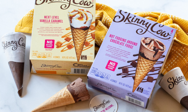 Start The Year Off With Great Flavor – Skinny Cow Cones Are BOGO At Publix