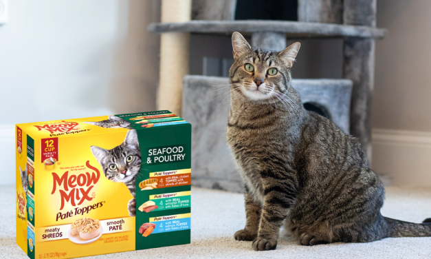 Meow Mix Cat Food 12-Pack Just $5.49 At Publix (Regular Price $9.49)