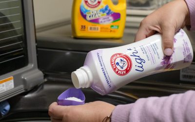 Get A Bottle Of Arm & Hammer In-Wash Scent Booster As Low As $1.25 At Publix