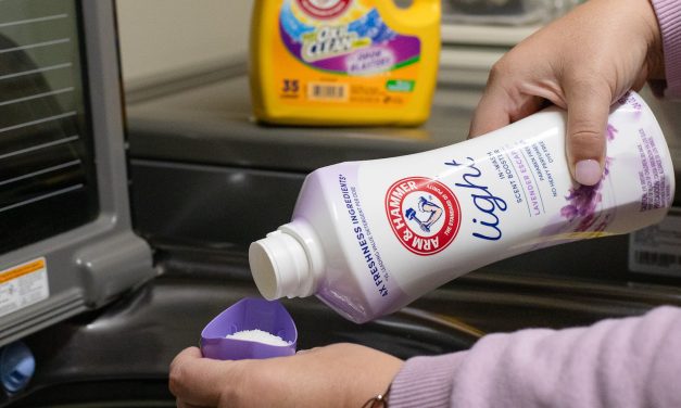 Get The Containers Of Arm & Hammer In-Wash Scent Booster For As Low As $2.25 At Publix