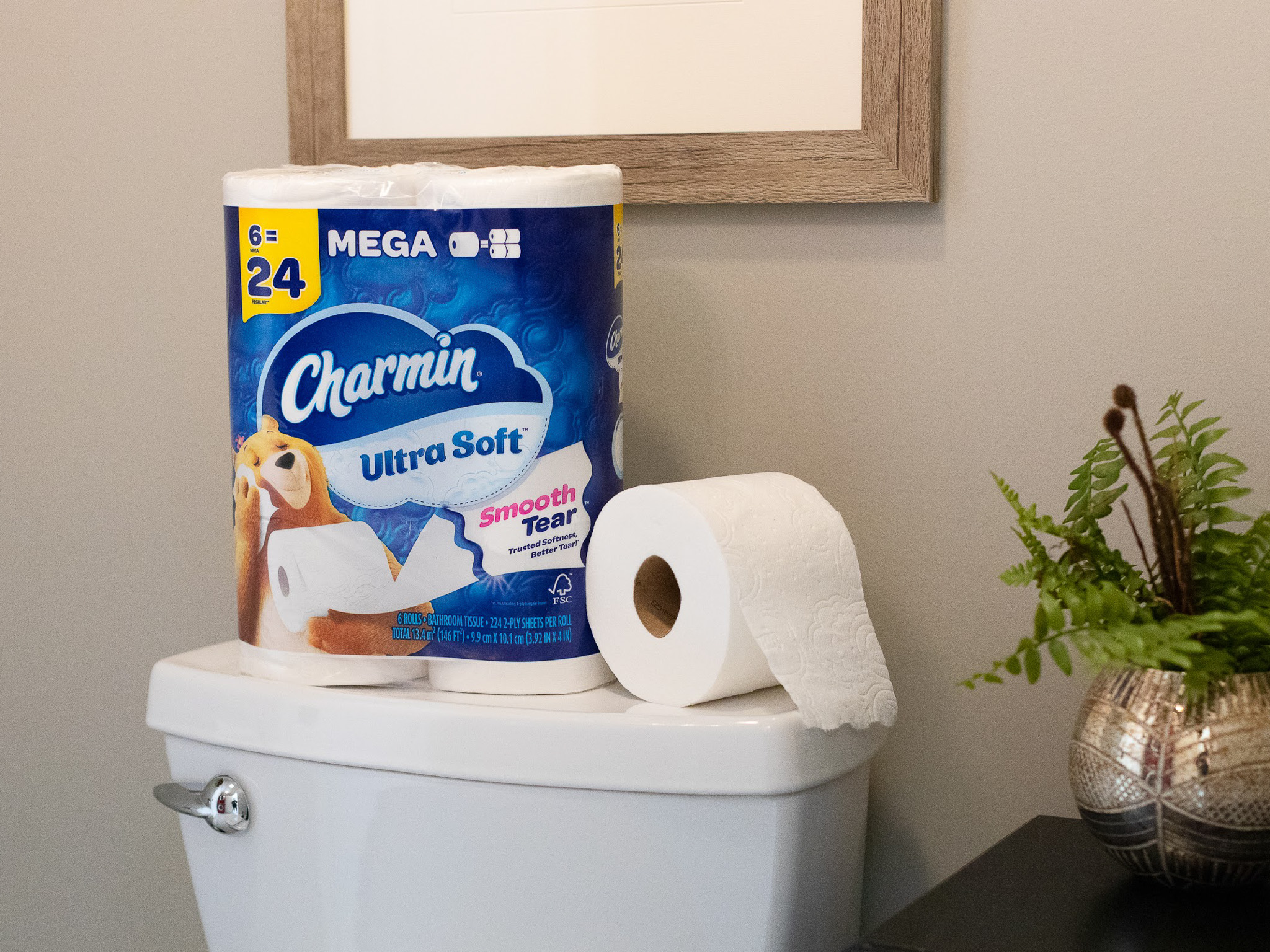 Charmin Mega Roll