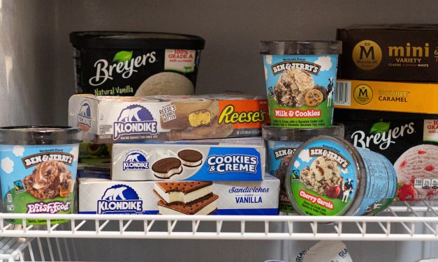 Stock Your Freezer With Tasty Treats – BOGO Deals On Klondike And Ben & Jerry’s At Publix