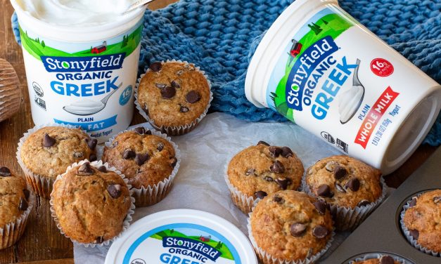 Stonyfield Organic Greek Yogurt Is Buy One, Get One FREE At Publix – Stock Up & Save!