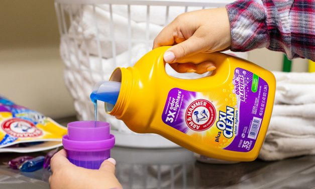 Stock Your Cart & Save On ARM & HAMMER™ Laundry Detergent – As Low As $3.25 Per Bottle At Publix
